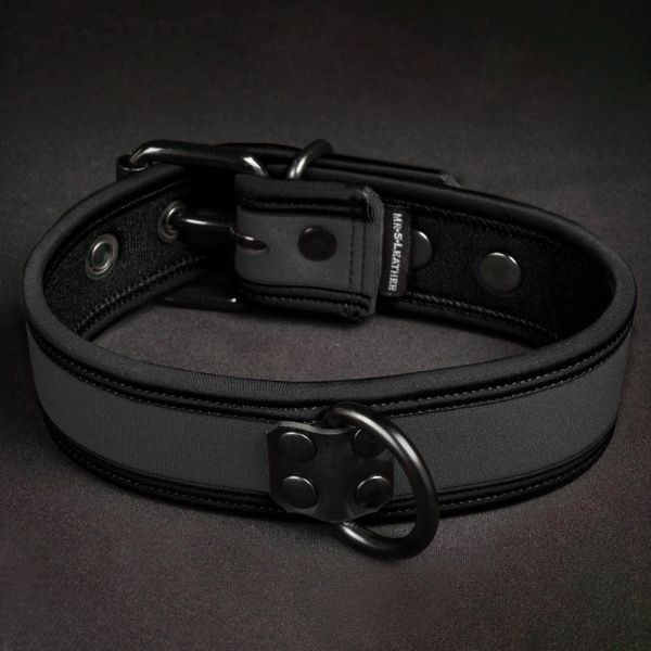 Puppy Collar and Leash Mr-S-Leather 35957