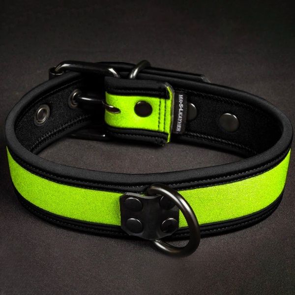 Neo Bold Puppy Collar Lime