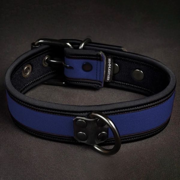 Puppy Collar and Leash Mr-S-Leather 35959