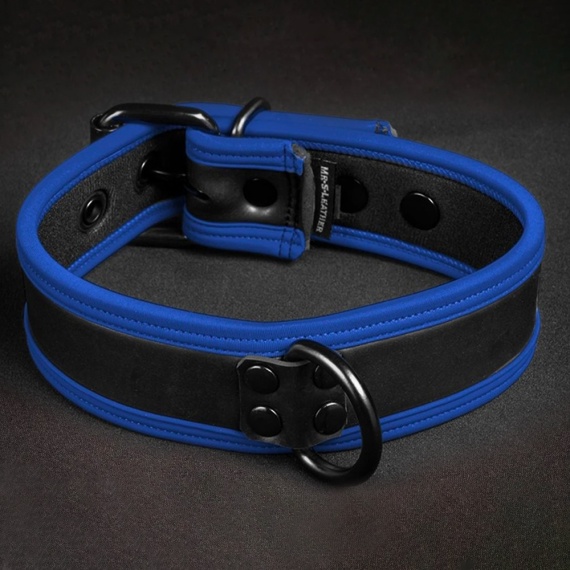 Collier et Laisse Puppy Mr-S-Leather Néo Puppy Collar Noir Bleu 35962
