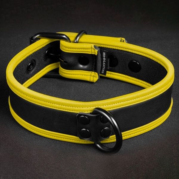 Puppy Halsbänder und Leine Mr-S-Leather 35963