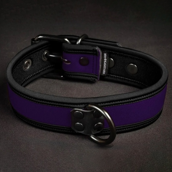 Neo Bold Puppy Collar Violet 35965