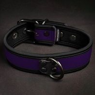 Neo Bold Puppy Collar Violet 35965 1