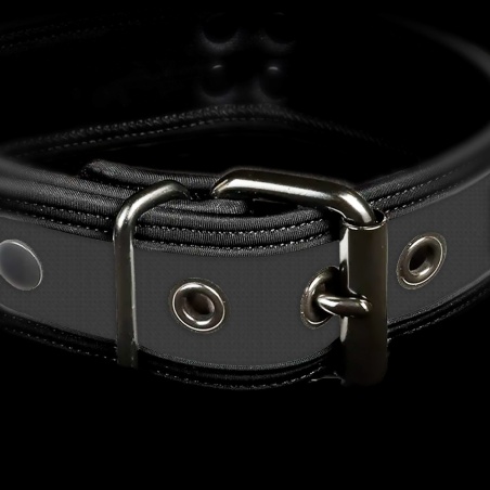 Neo Bold Puppy Collar Gris 35974