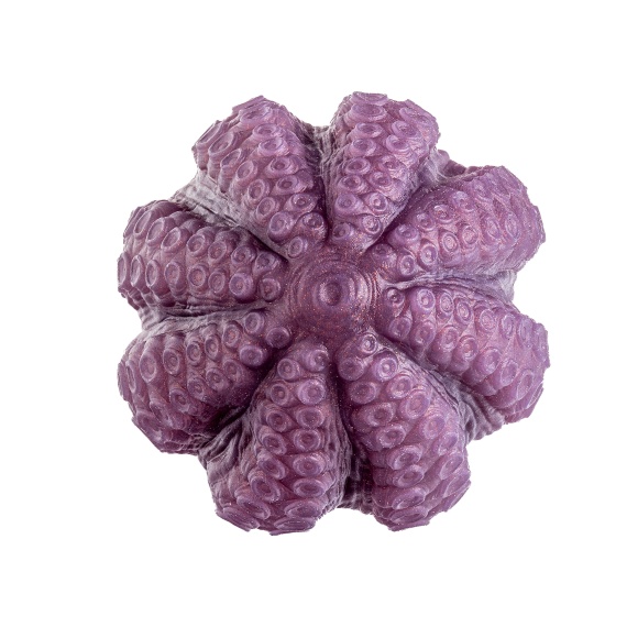 Consolador de talla L Hankeys Toys Plug Anal HENTAI DILDO L 37775