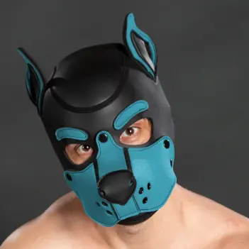 Mr S Leather K9 Hood Aqua neoprene puppy hood, posable ears | Dark-Ink