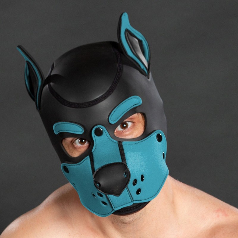 K9 hood aqua