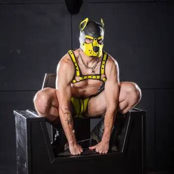 Capucha puppy K9 Hood Yellow Mr S Leather, neopreno | Dark-Ink