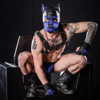 Cagoule puppy K9 Hood Royal Mr S Leather, bleu royal | Dark-Ink