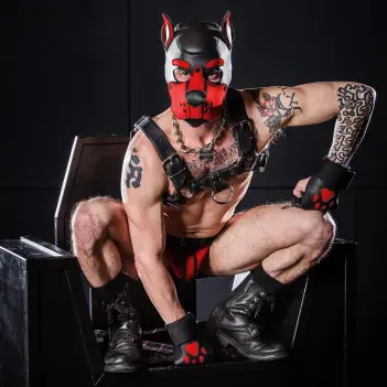 Capucha puppy K9 Hood Red Mr S Leather, neopreno | Dark-Ink