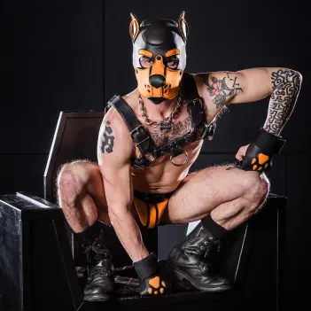 Capucha puppy K9 Hood Orange Mr S Leather, neopreno | Dark-Ink