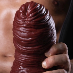 Plug Anal HUNGERFF L 41254