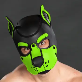 Mr S Leather K9 Hood Lime puppy hood, neoprene snap muzzle | Dark-Ink