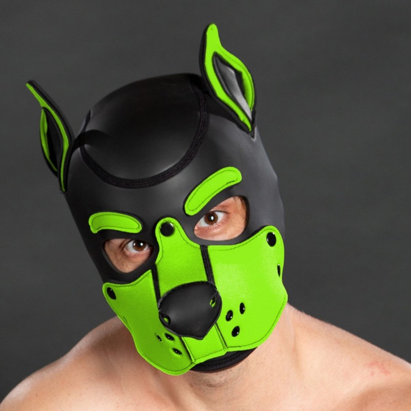 Mr S Leather K9 Hood lime | Puppy-Haube aus Neopren