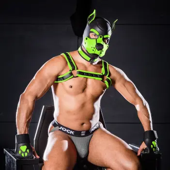 Cagoule puppy K9 Hood Lime Mr S Leather, néoprène | Dark-Ink
