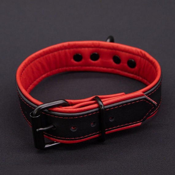 Hardline Collar 7 colors