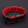 Hardline Collar 7 colors