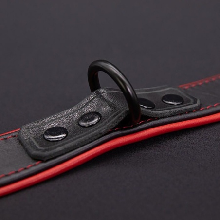 Hardline Collar 7 couleurs 42182