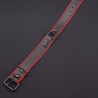 Hardline Collar 7 colors