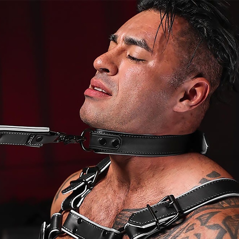 Hardline Collar 7 Farben 42199