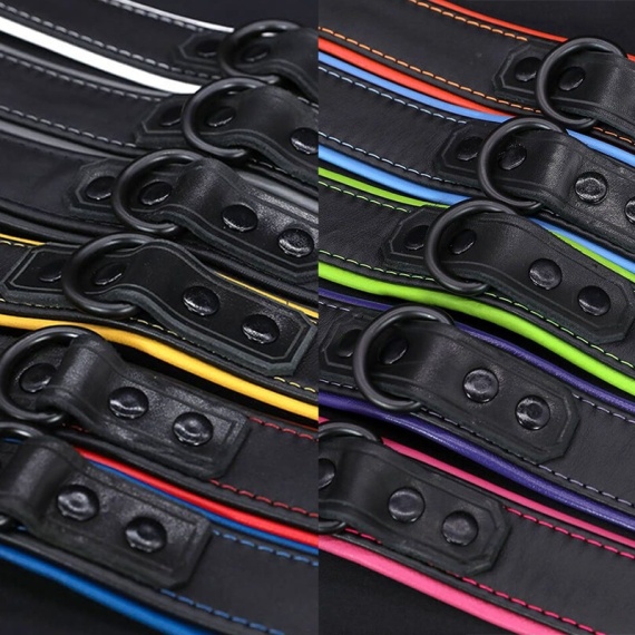 Hardline Collar 7 colors