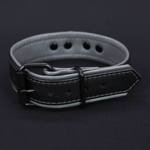 Hardline Collar 7 colors 42203