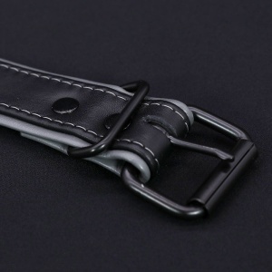 Hardline Collar 7 colors 42204