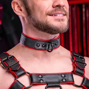 Hardline Collar 7 colors