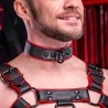 Hardline Collar 7 colors