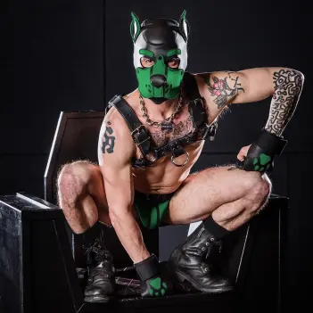 Cagoule puppy K9 Hood Hunter Mr S Leather, nez réaliste | Dark-Ink