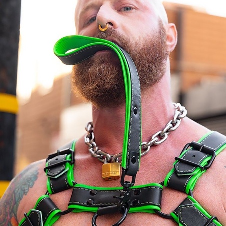 Hardline Short Leash Lime 42818