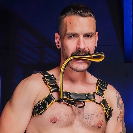 Hardline Short Leash Gelb 42918