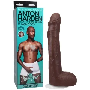 Gode réaliste Anton Harden...