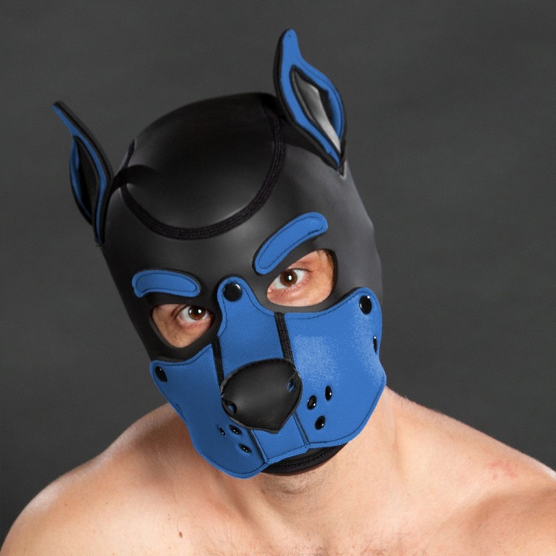 Mr S Leather K9 Hood Cobalt | Capucha Puppy de neopreno