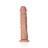 Curved Realistic Dildo W/ Balls 25,5cm - 10"