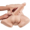 Apollo Male Torso Large