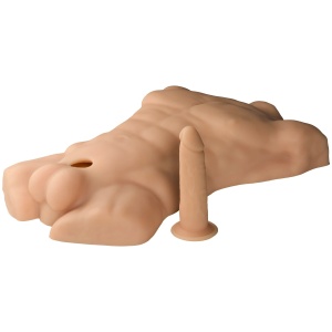 Apollo Male Torso Large 46080