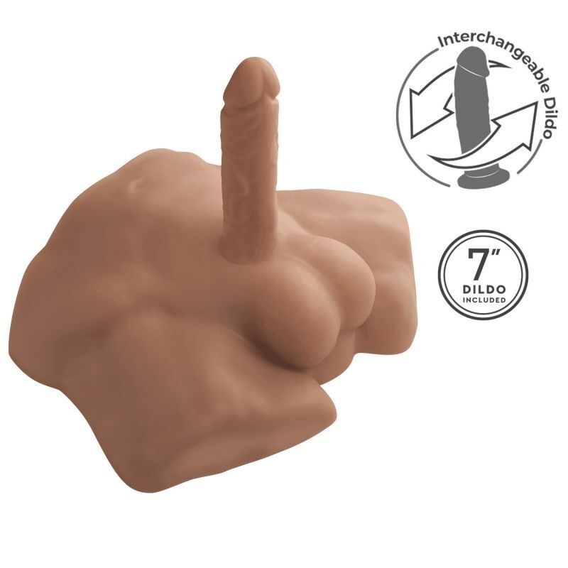 Apollo S Male Torso 46132