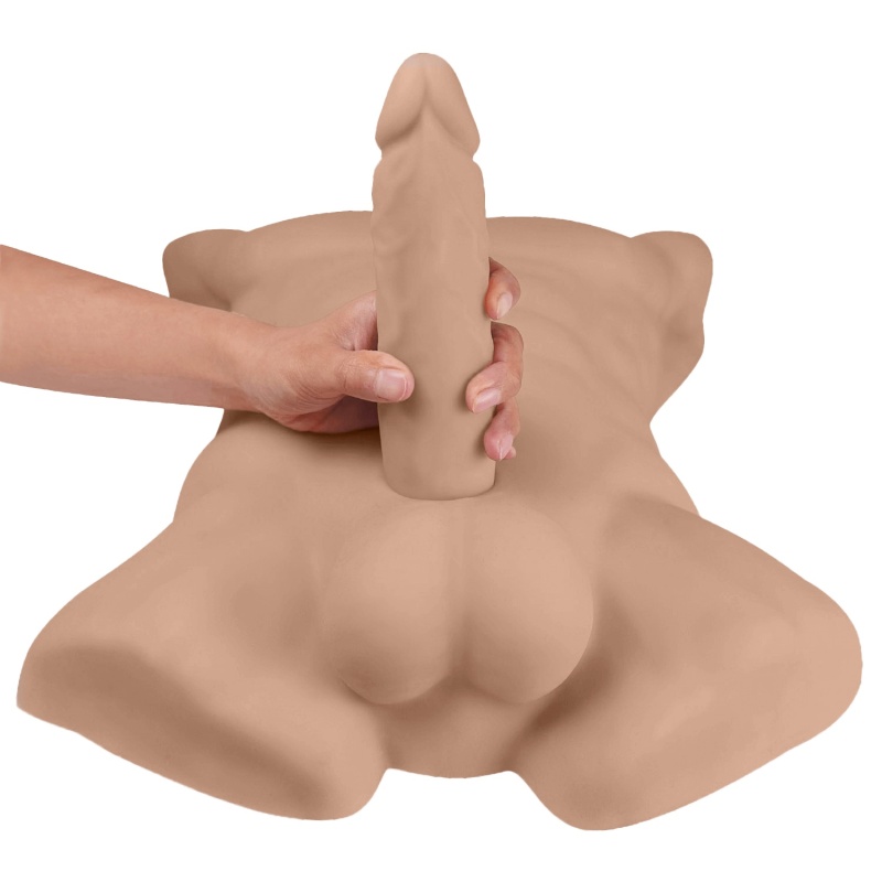 Apollo Male Torso Large 46202