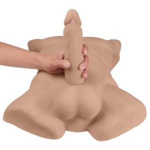 Apollo Male Torso Large 46202