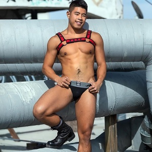 Jock Jockstrap Noir 46330