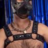 Neo Bold Bulldog Harness Camo