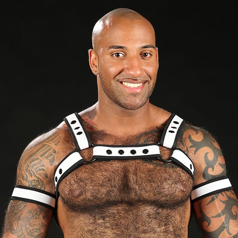 Neo Bold Bulldog Harness White 46336