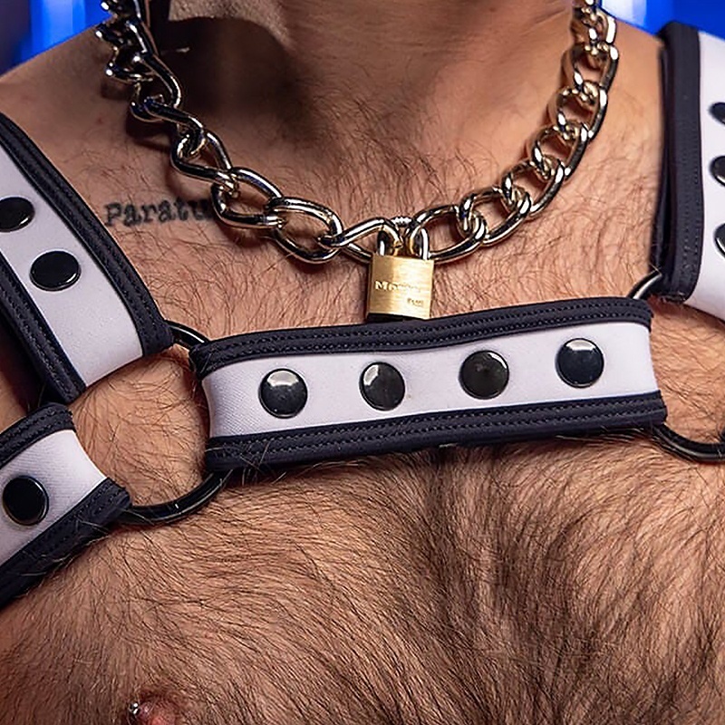 Neo Bold Bulldog Harness Blanc 46337