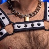Neo Bold Bulldog Harness White