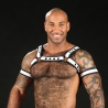 Neo Bold Bulldog Harness White