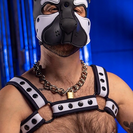 Neo Bold Bulldog Harness Blanc 46339