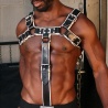 Cockstrap for Bulldog Harness