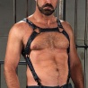 Körperharness Crossbow Leder Schwarz/Blau