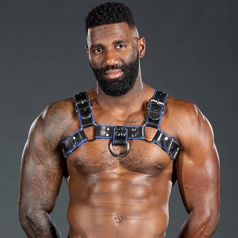 Harnais Bulldog 2.0 Blau 46405